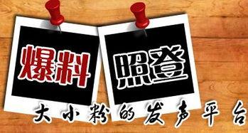 昆明最新八卦爆料新闻,最新八卦爆料揭秘幕后真相